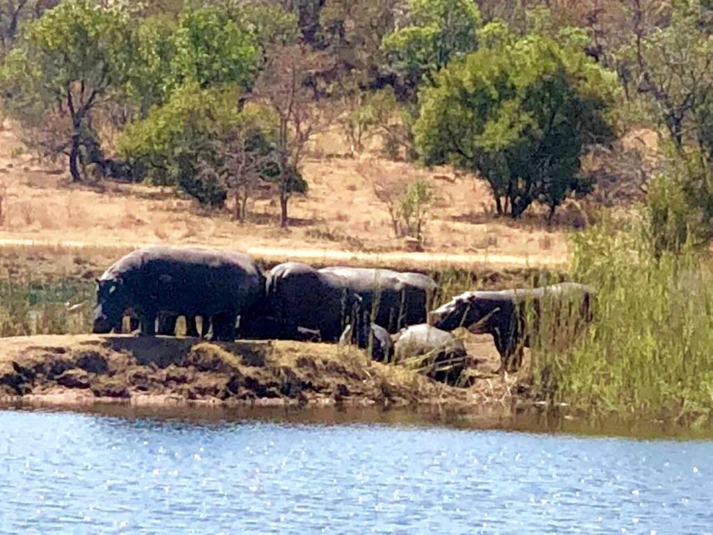Kuwisa Lodge Bela-Bela Dış mekan fotoğraf
