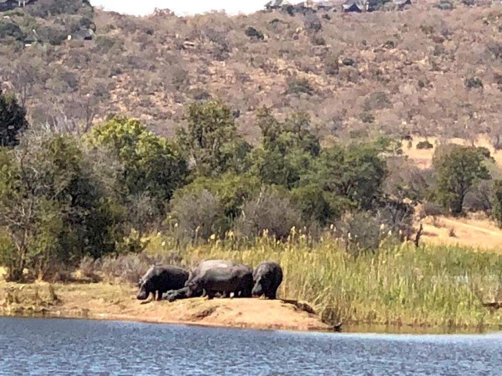 Kuwisa Lodge Bela-Bela Dış mekan fotoğraf