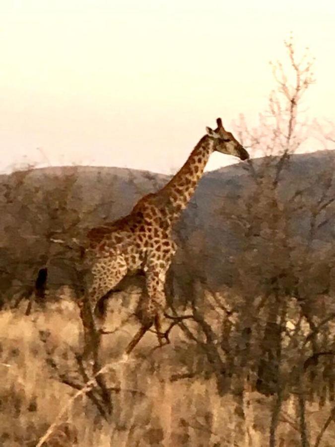 Kuwisa Lodge Bela-Bela Dış mekan fotoğraf